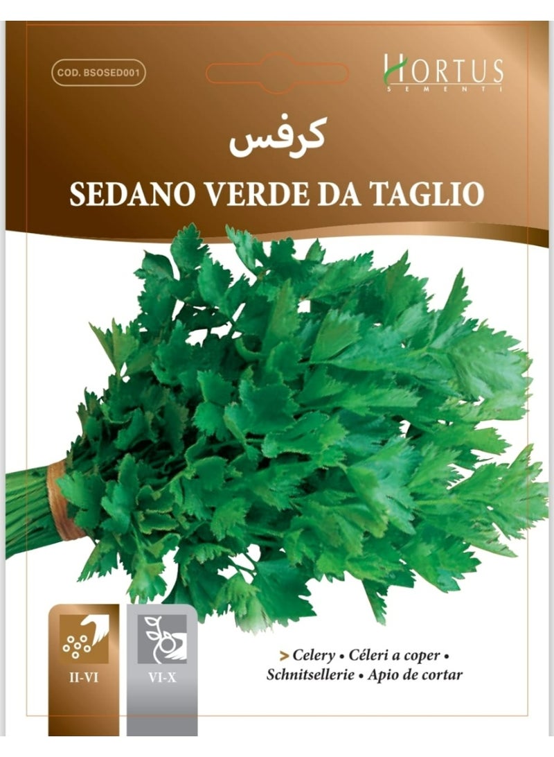 Green Leaf Celery Seeds